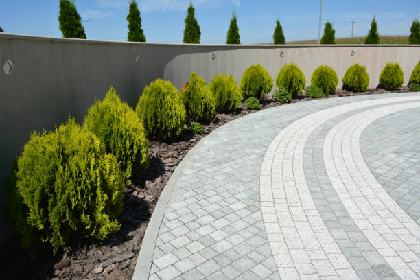 Best Professional Driveway Pavers  in Paia, HI