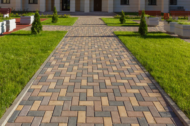 Best Local Driveway Pavers  in Paia, HI